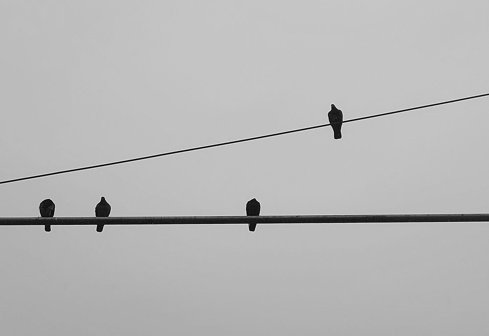 Photograph by Hossein Jafari