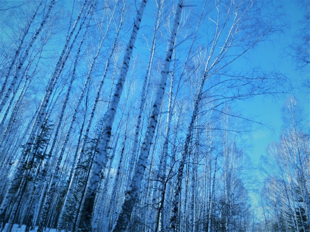 Photograph by Галина