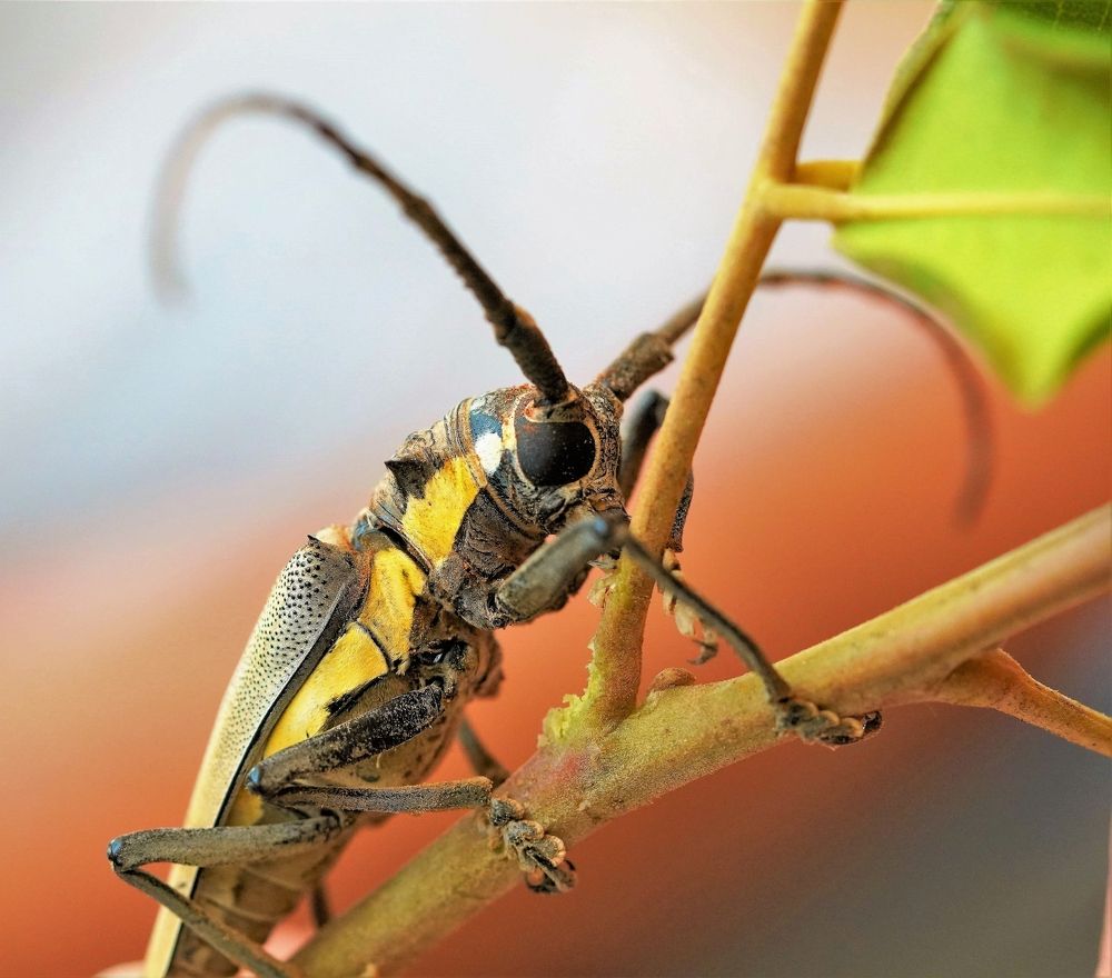 Photograph by Tamir Mor