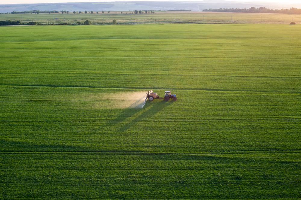 Photograph by Роман Козвонин