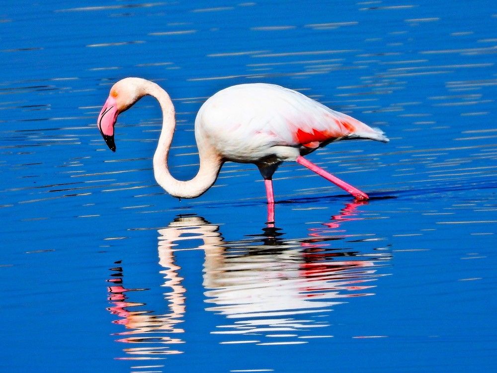 Photograph by Tamir Mor