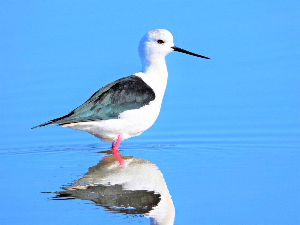 Photograph by Tamir Mor