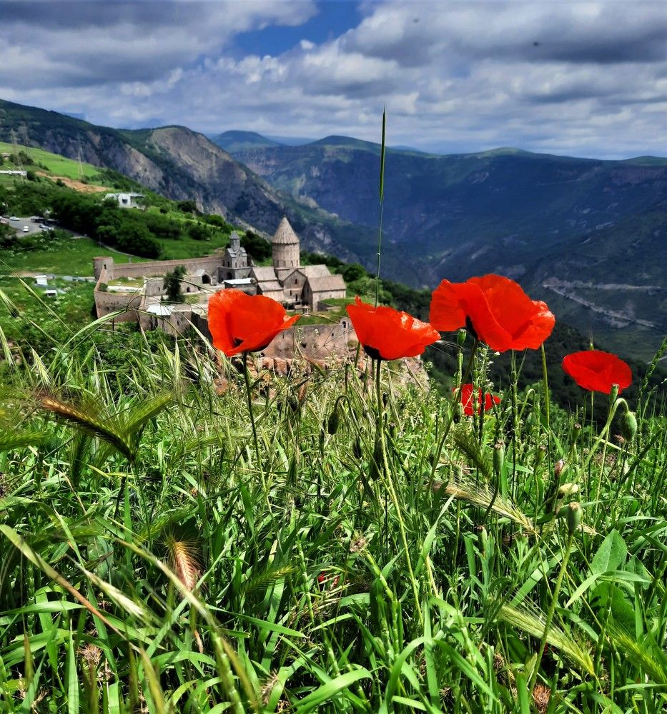 Фотография автора Елена Пикатова