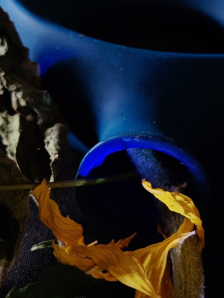 Photograph by Татьяна Гулакова