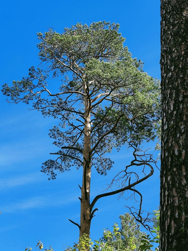 Photograph by Татьяна Гулакова