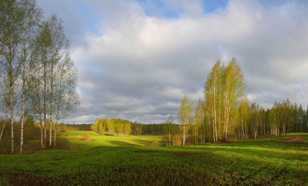 Photograph by doom44