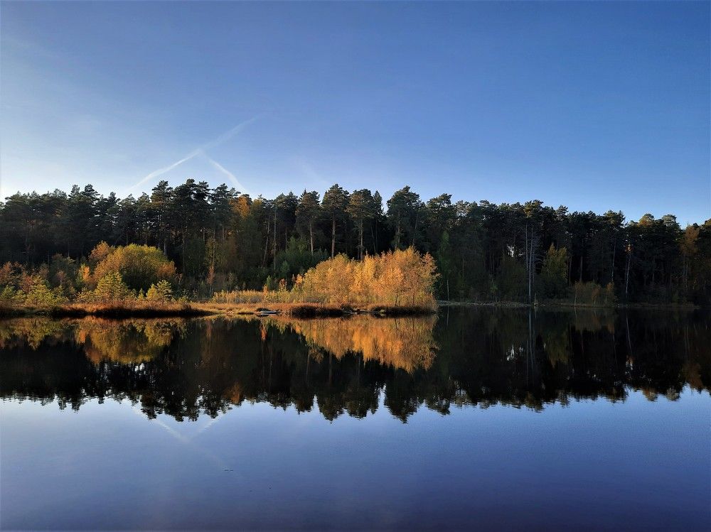 Фотография автора Елена Пикатова