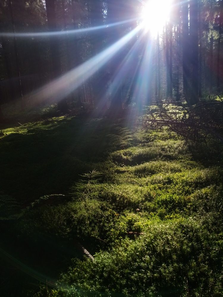 Photograph by Анастасия