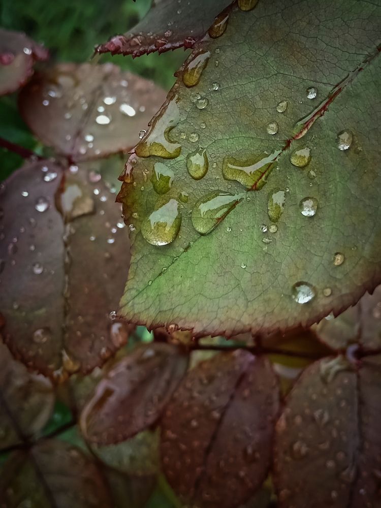 Photograph by Наталья Кириллова