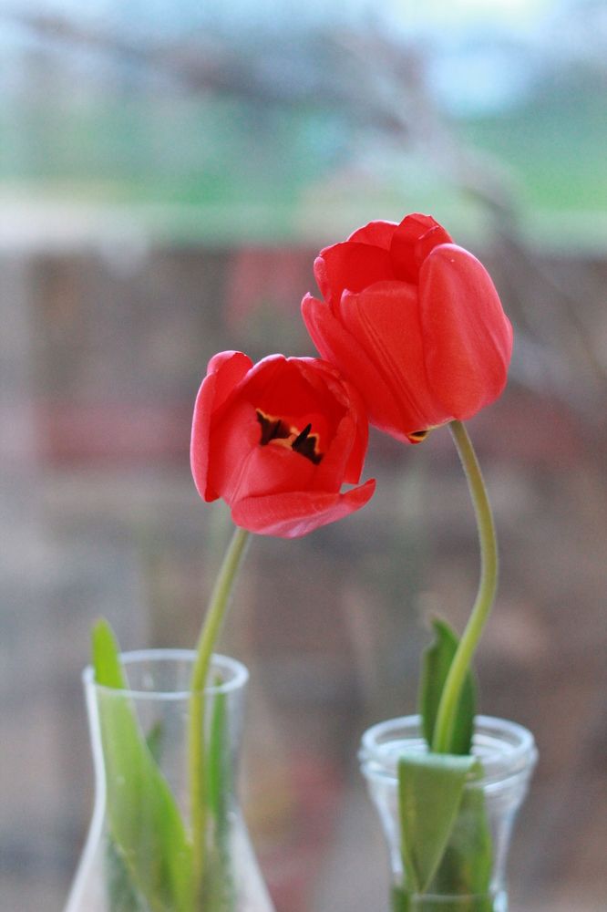 Photograph by Ксения Сёмина