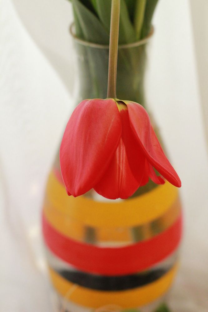 Photograph by Ксения Сёмина