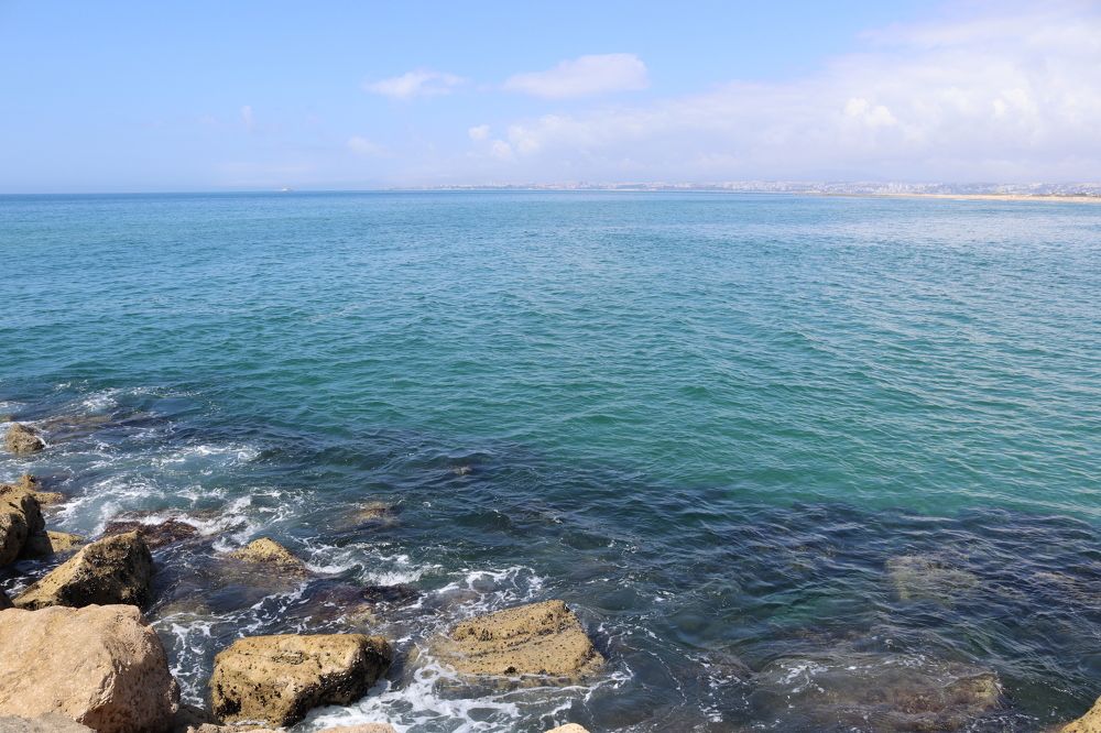 Photograph by José António Garcia Ferreira de Almeida