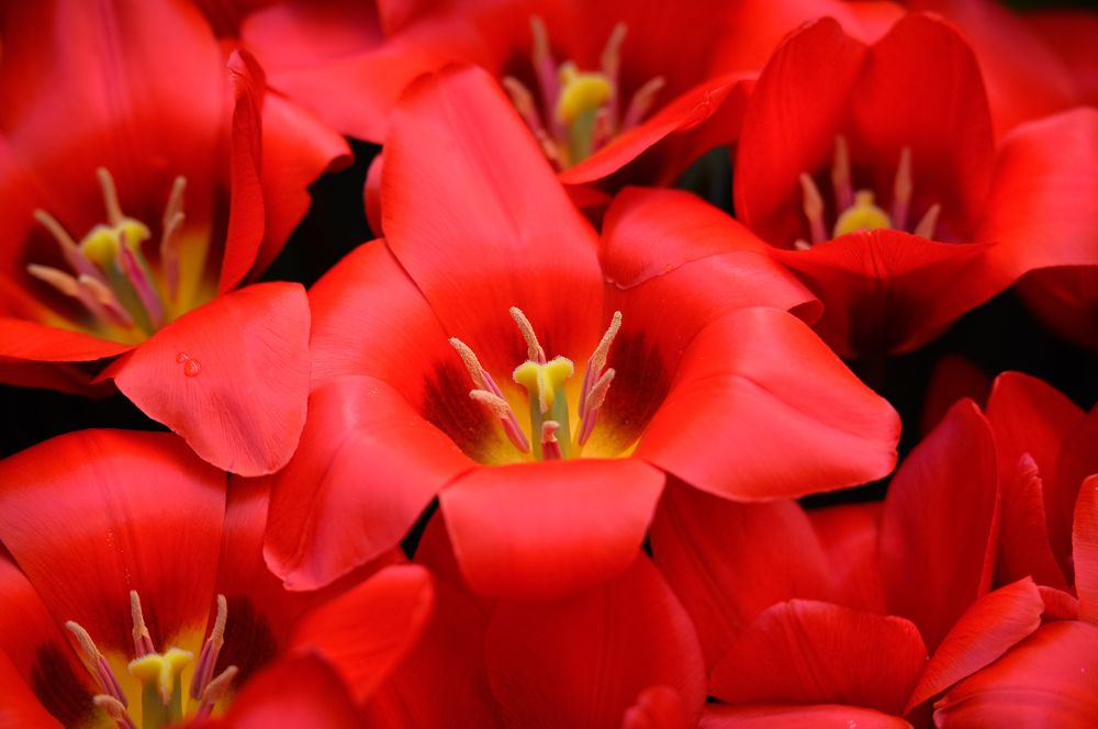 Photograph by Olga Mendosa