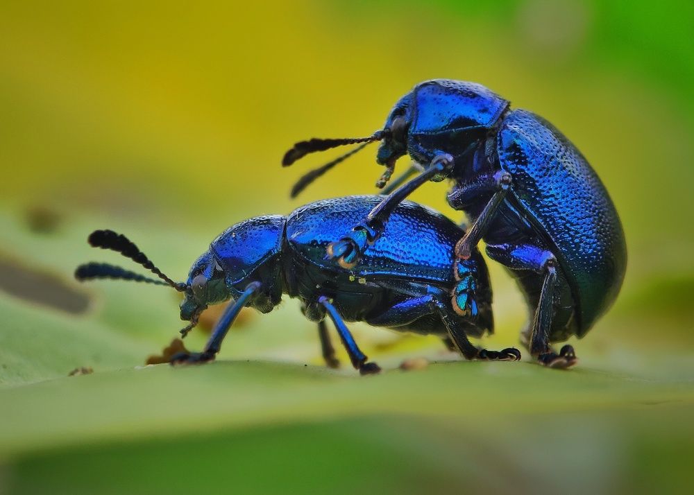 Photograph by Samar Jana