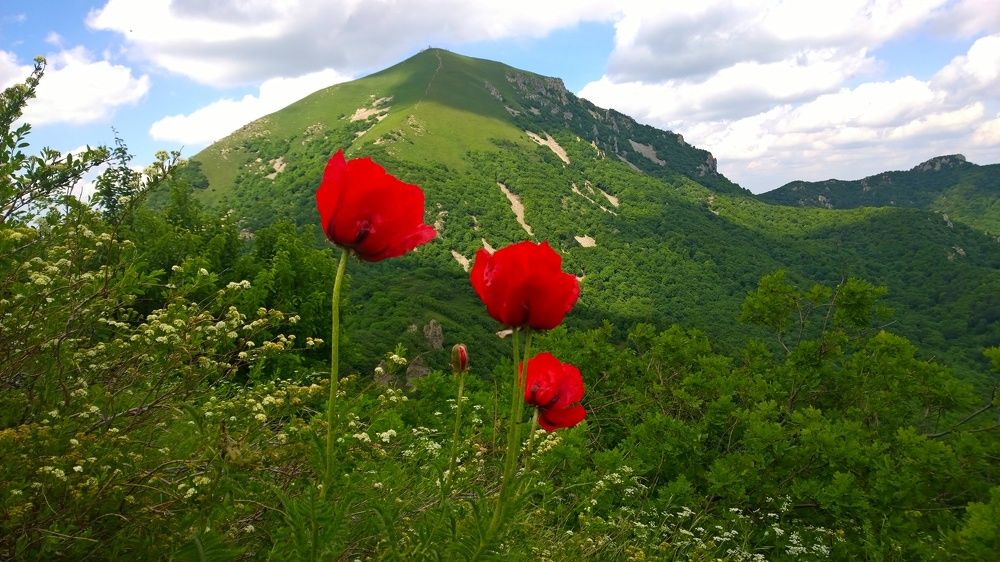 Photograph by Вадим Юрьевич