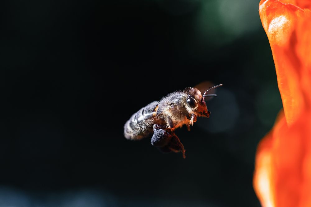 Photograph by Антон Хаткевич