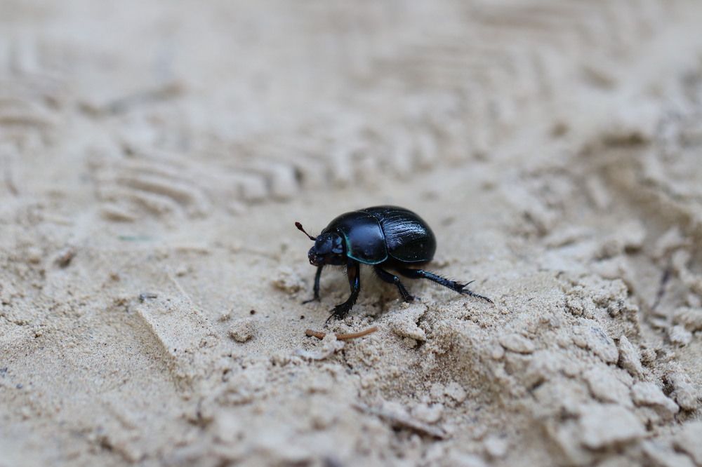 Фотография автора Татьяна Свистулина