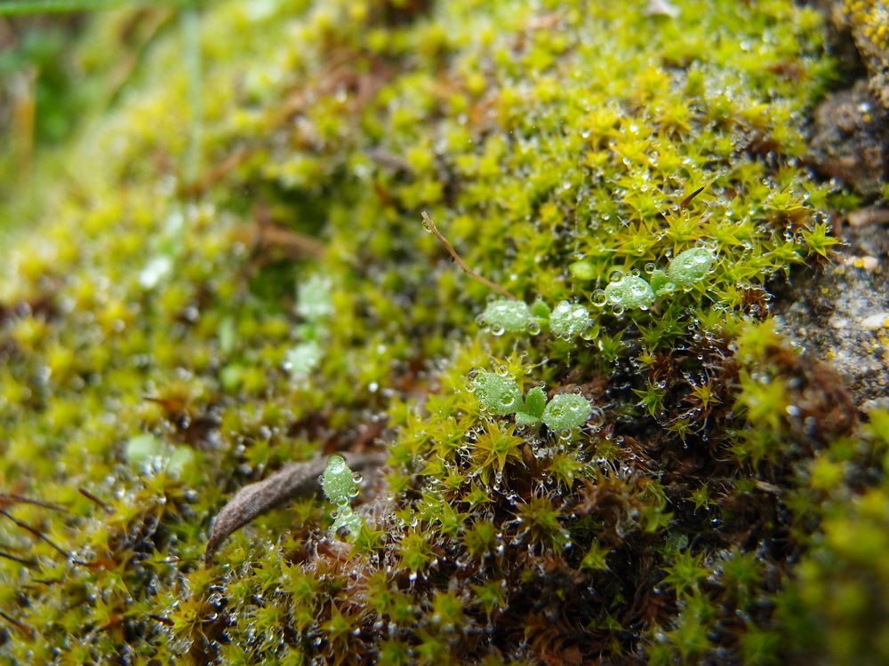 Photograph by Ксения Сёмина