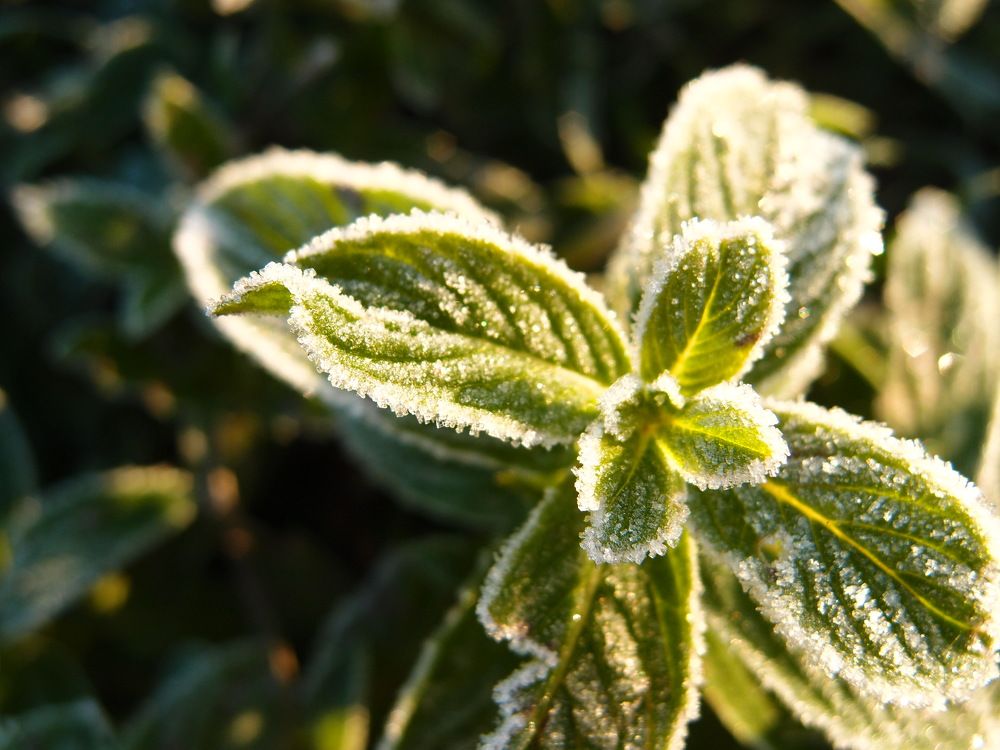 Photograph by Ксения Сёмина