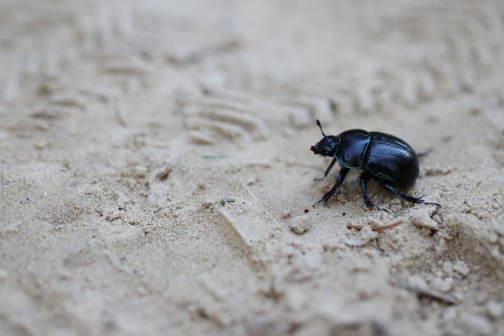 Фотография автора Татьяна Свистулина
