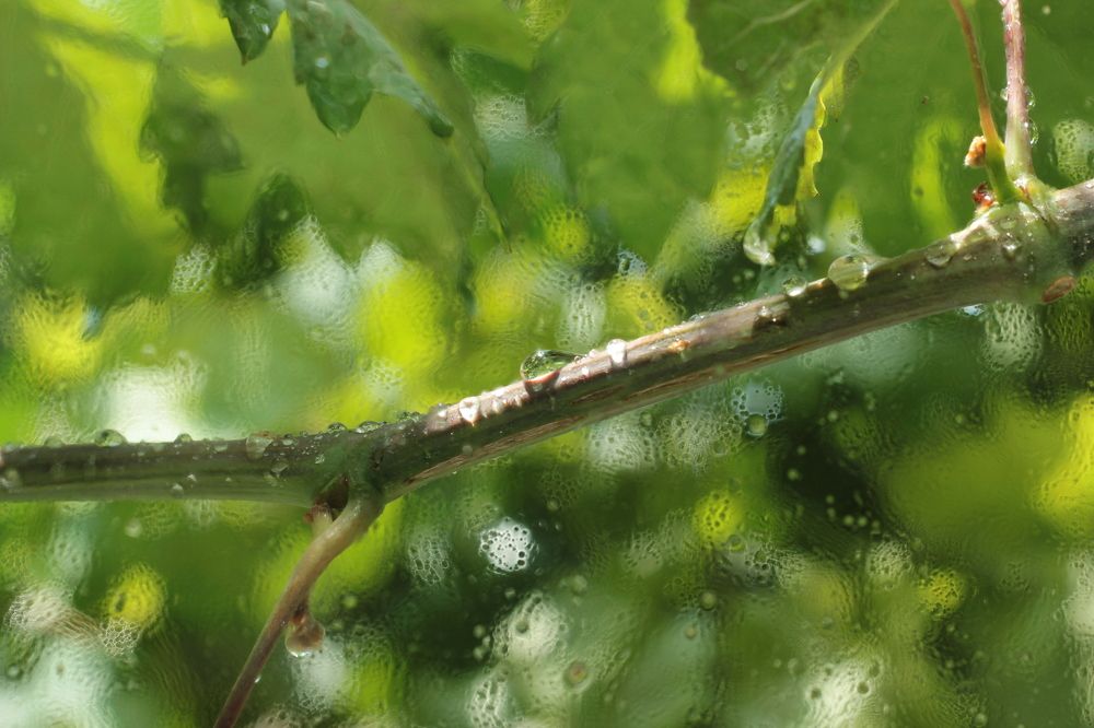 Photograph by Ксения Сёмина