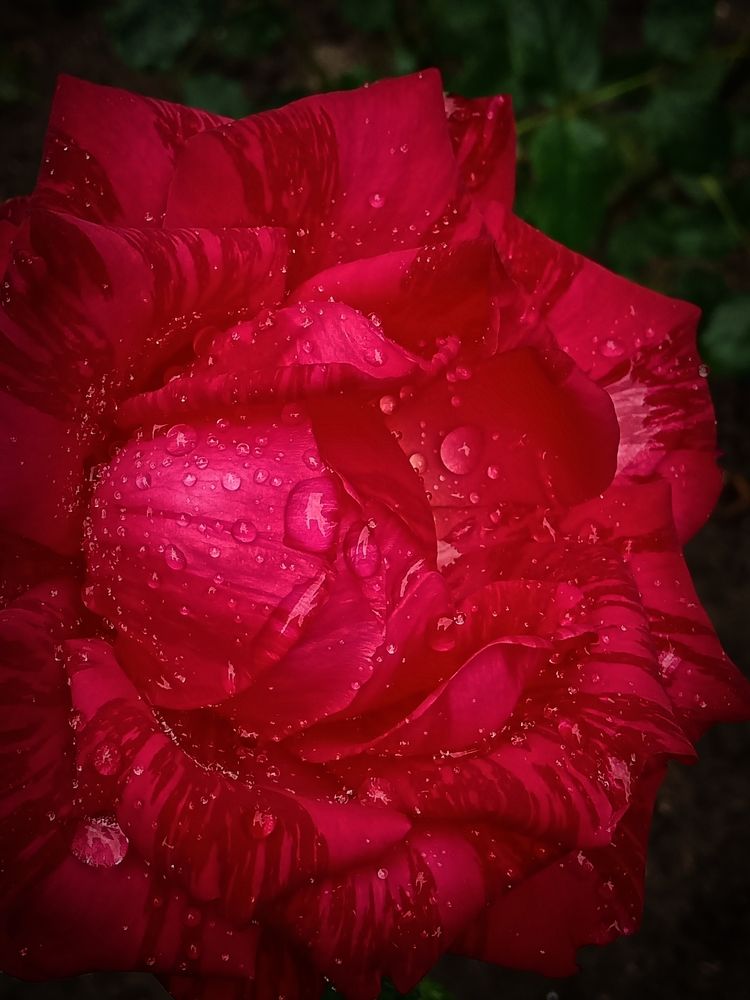 Photograph by Наталья Кириллова