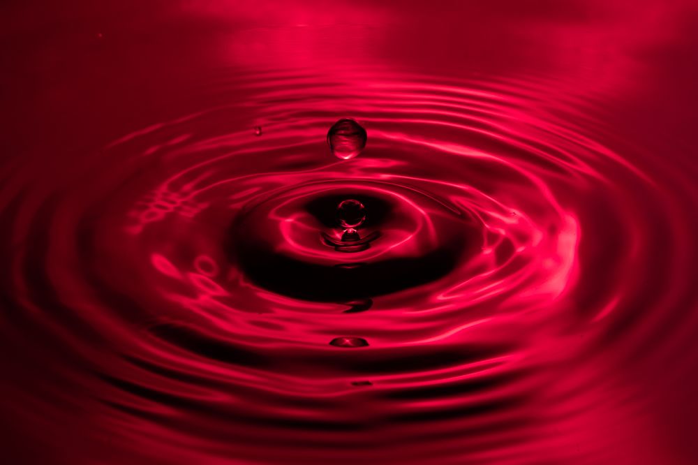 Photograph by vatsal mandaviya