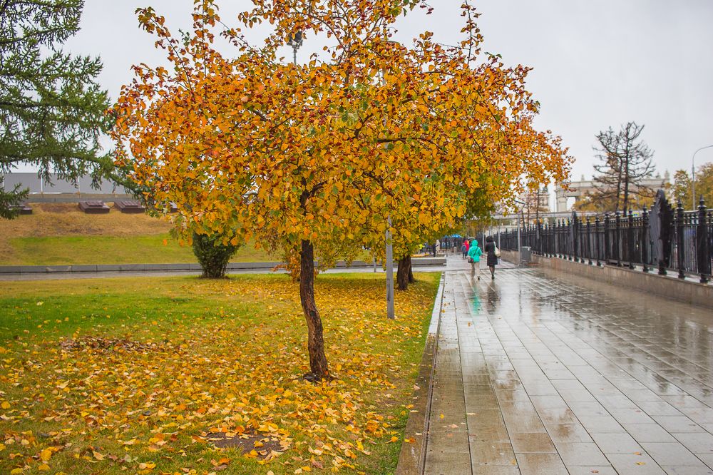 Дождь. Сентябрь. Город