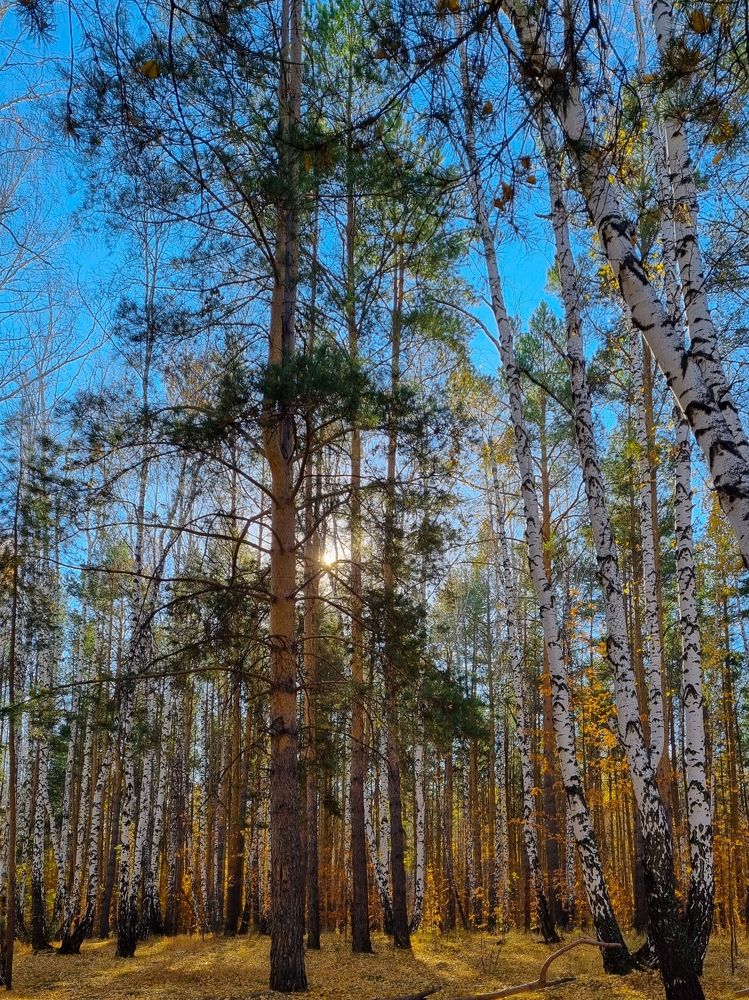 Photograph by Александра Кузнецова