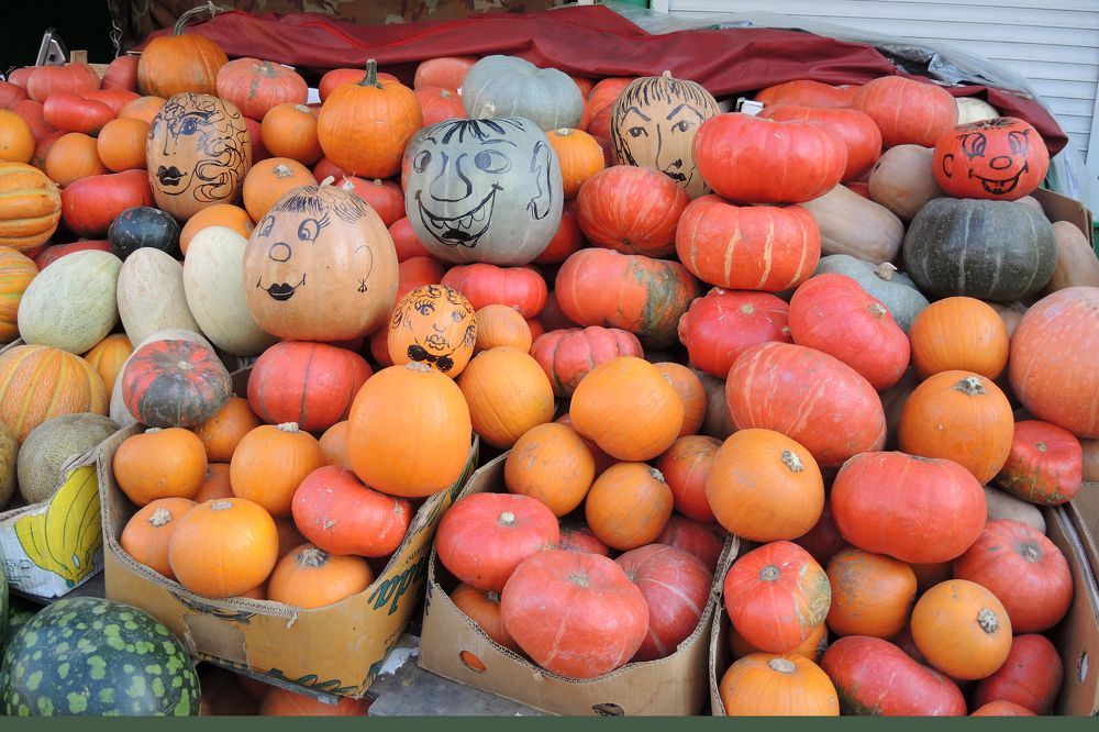 Фотография автора София Гавриловна Вотякова