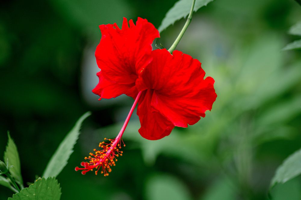 Photograph by vatsal mandaviya