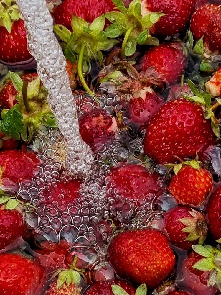 Photograph by Марина Ивасюта