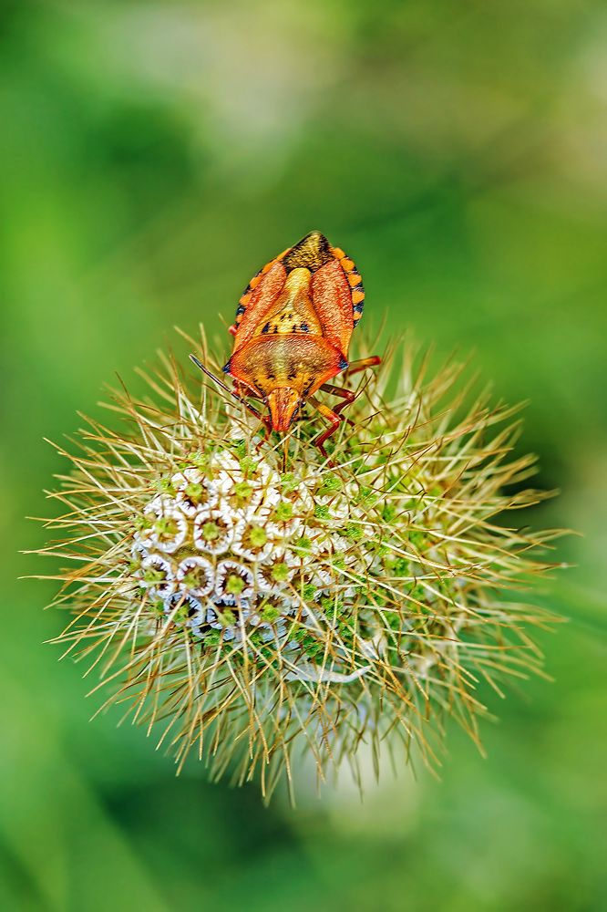 Photograph by Matko Matkovic