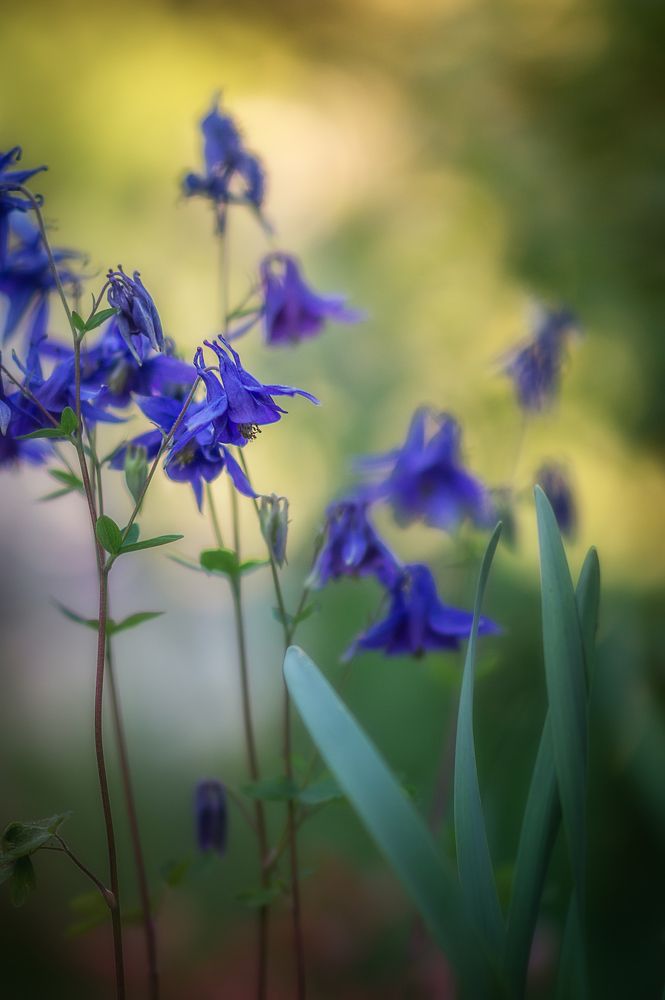 Photograph by Черкасов Сергей