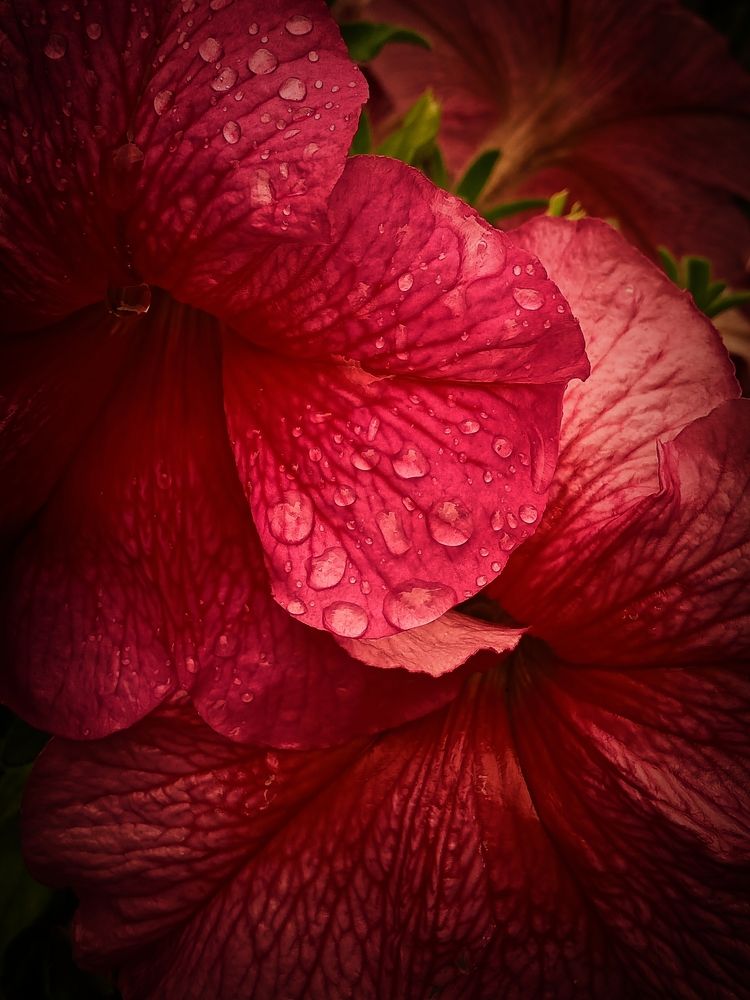 Photograph by Наталья Кириллова