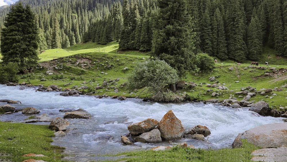 Photograph by klara Neikov