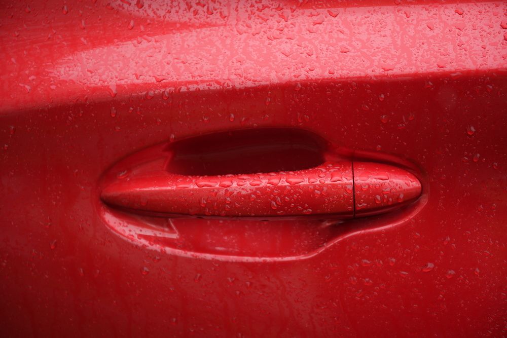 Photograph by Ольга Рачилова