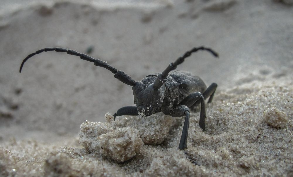 Photograph by Виктор Рыков