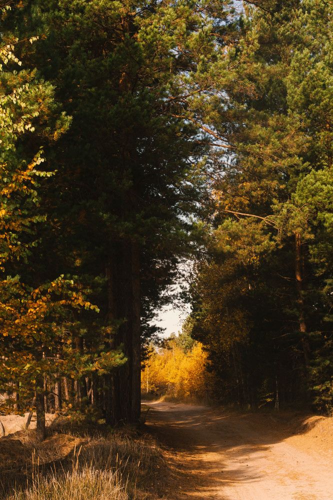 Фотография автора Элеонора Григорьева