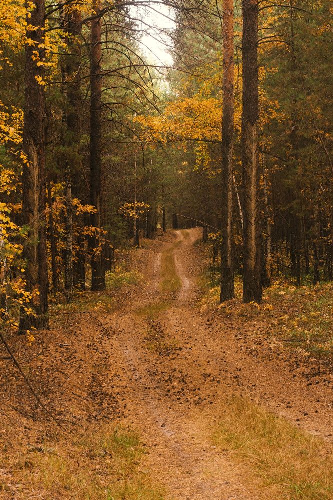 Фотография автора Элеонора Григорьева