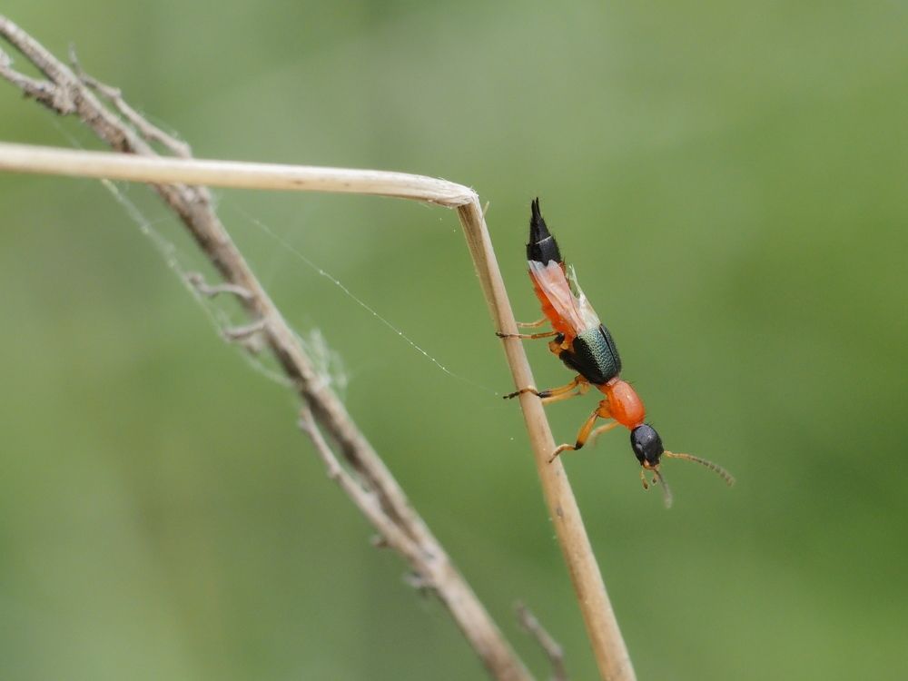 Photograph by андрей гусев