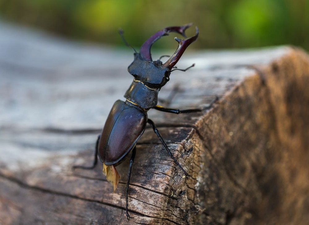 Пять секунд до взлета