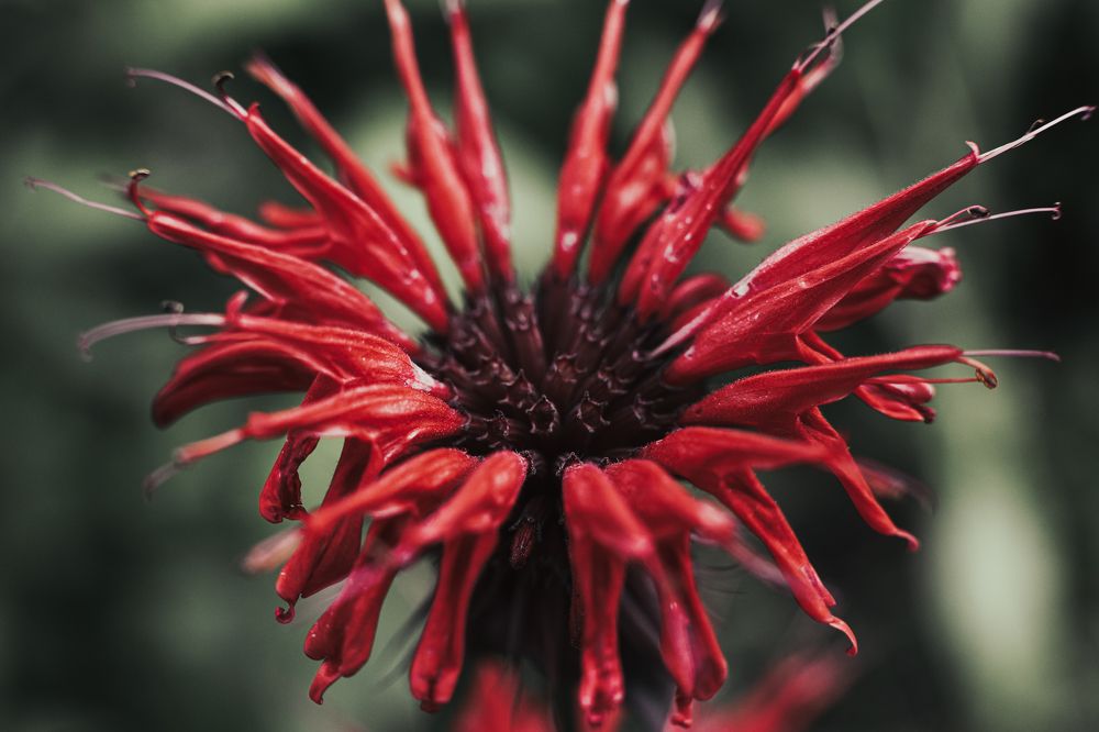 Photograph by Антон Хаткевич