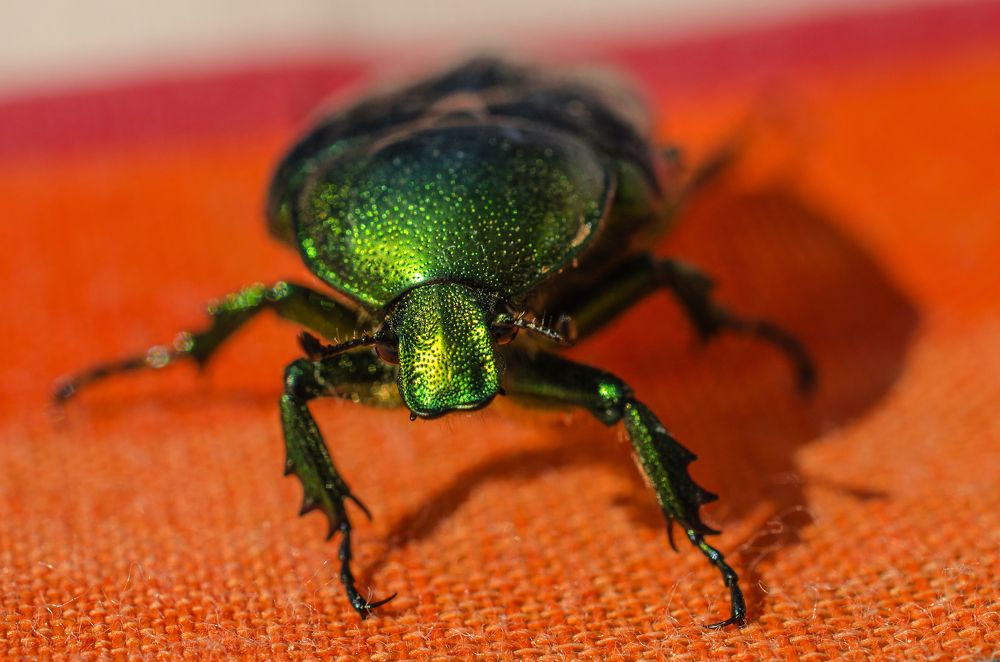 Photograph by Евгений Каримов