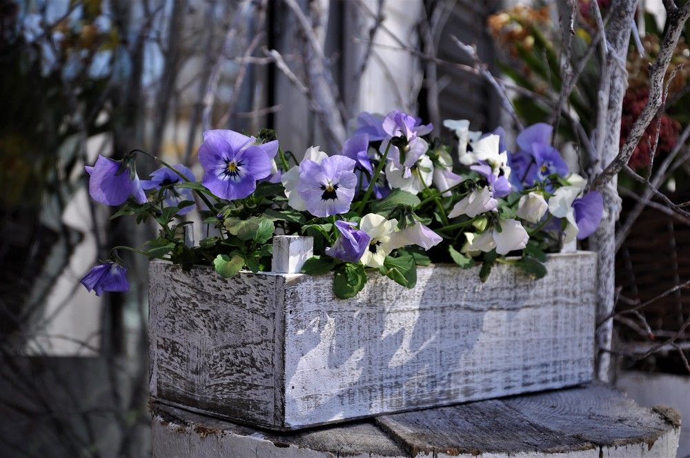 Photograph by Ольга Струкалина