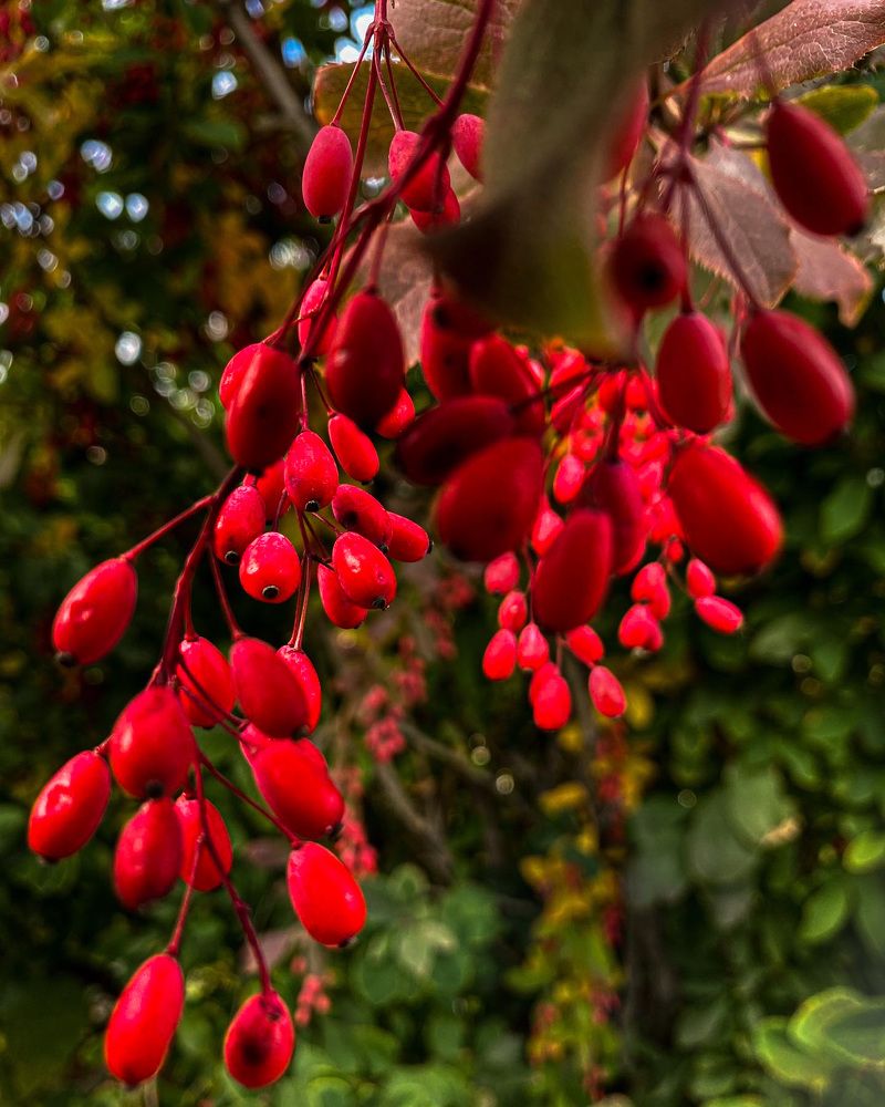 Photograph by Вера Романова