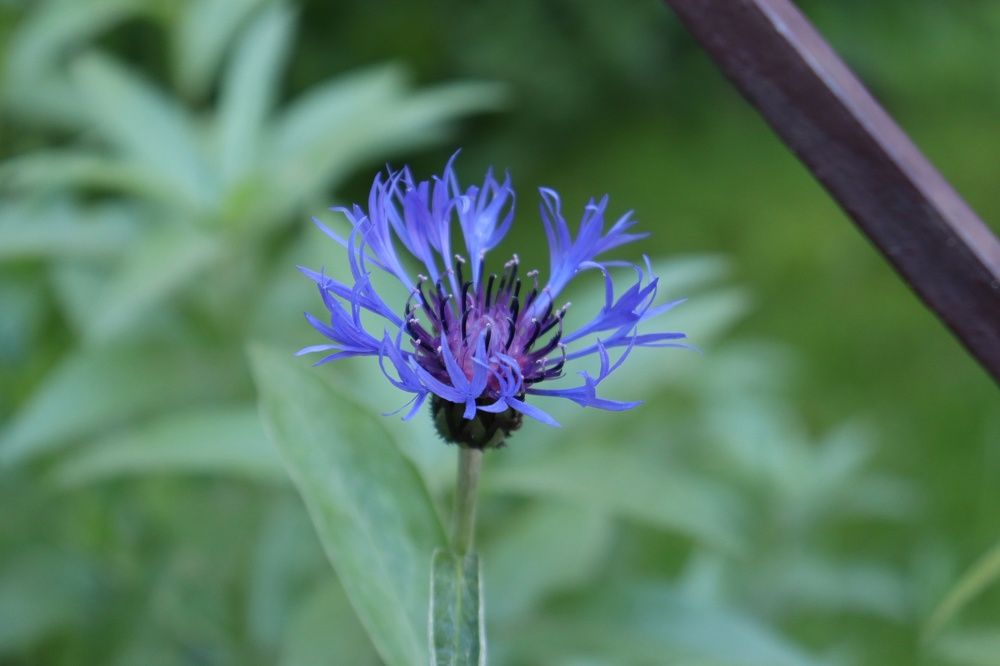 Photograph by Орехова Татьяна