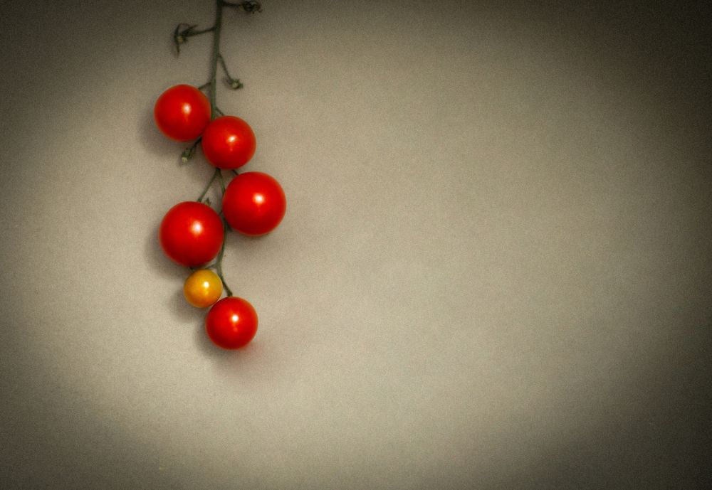 Photograph by Дарья Сергеева