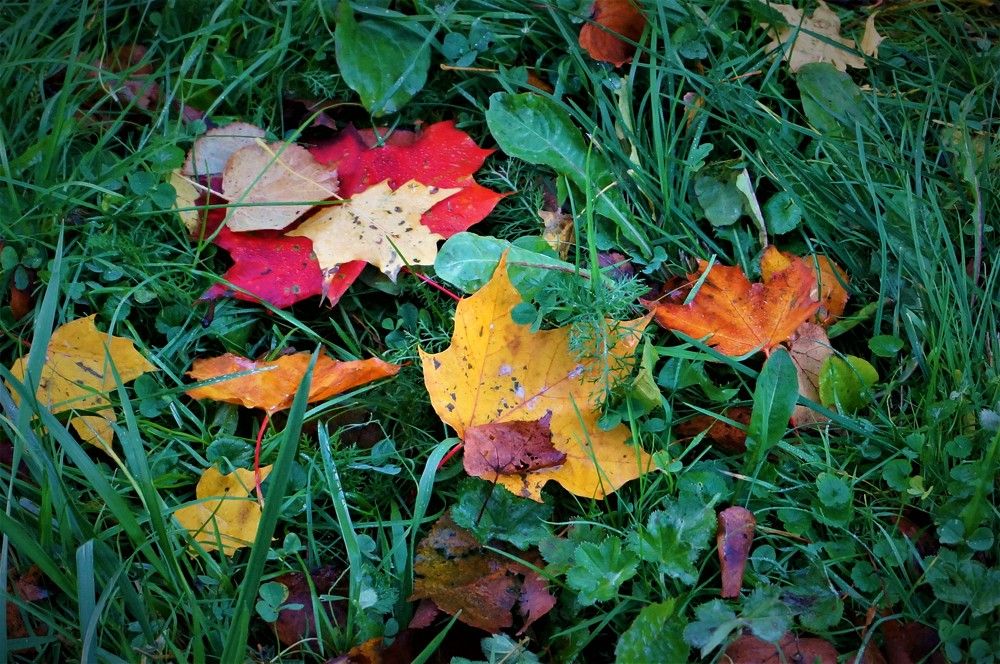 Photograph by Inna Oshe