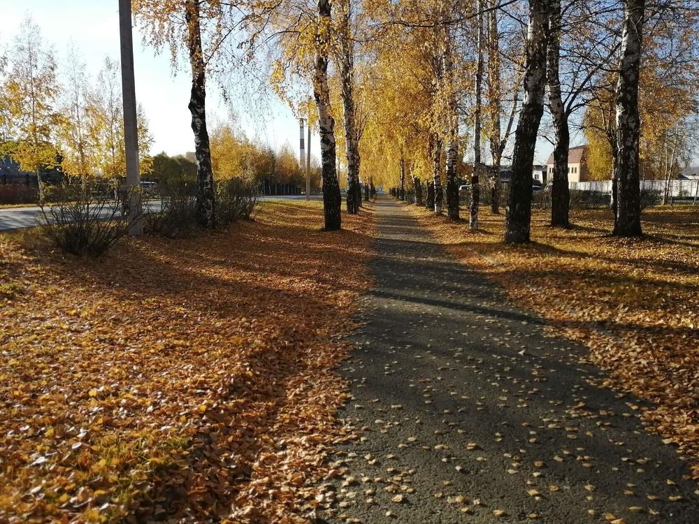 Photograph by Елена